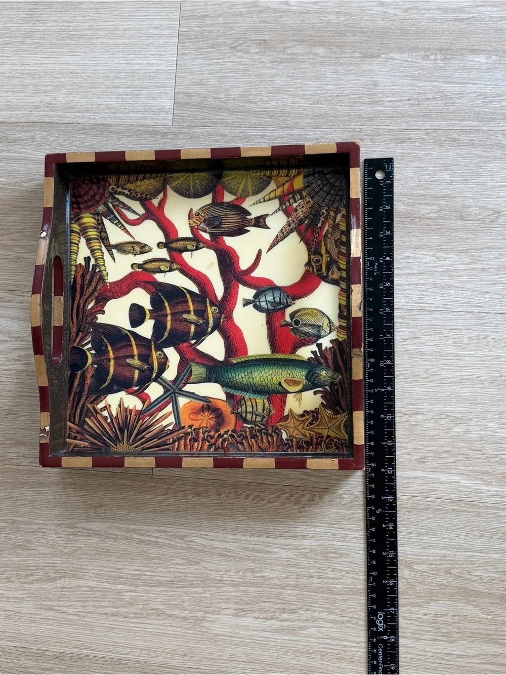 Anni Modica Oceans Fish Coral Reef Wood Tray Bar Art 12” x 12” -see description